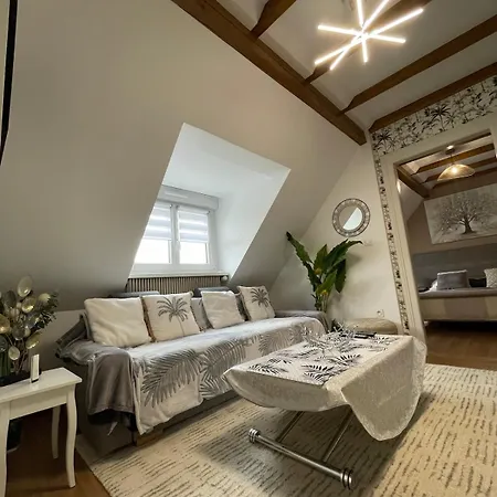Comfortable F4 In Strasbourg-near Center & Tram Lägenhet