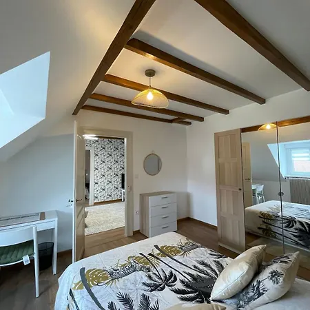 Comfortable F4 In Strasbourg-near Center & Tram Apartment