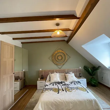 Comfortable F4 In Strasbourg-near Center & Tram Strasbourg
