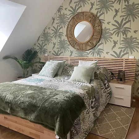 Comfortable F4 In Strasbourg-near Center & Tram Strasbourg